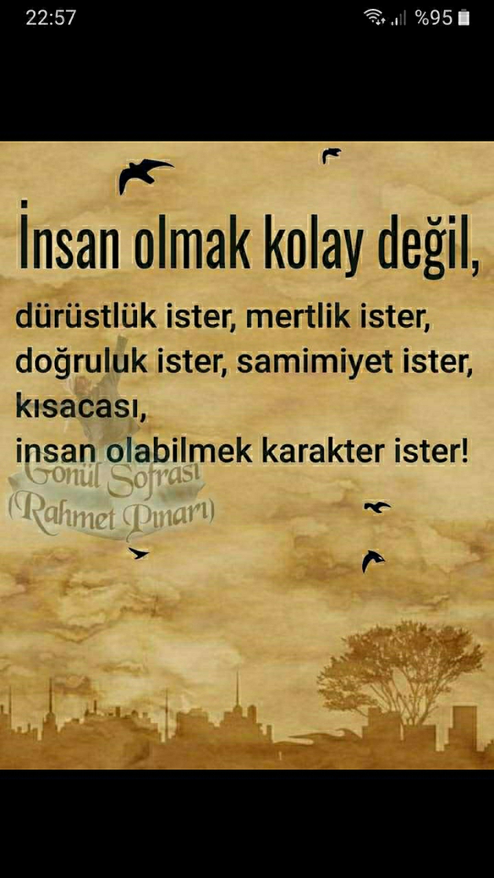 Gül