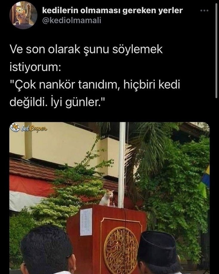 Derya