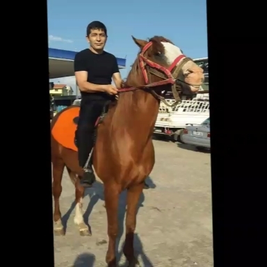 Mahmut