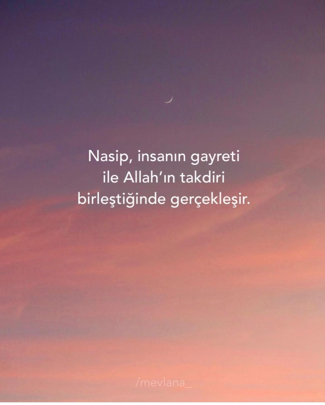 T C Yıldız