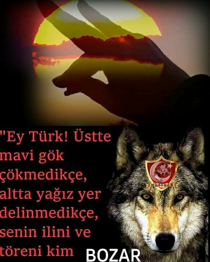 Aysun