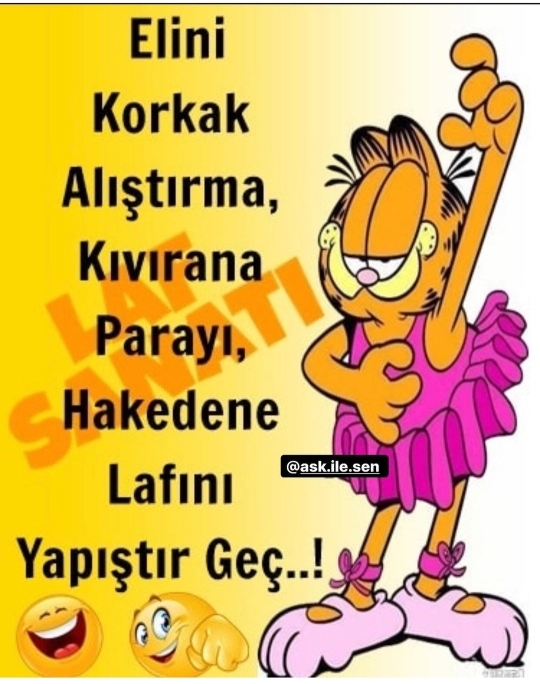 Aynur