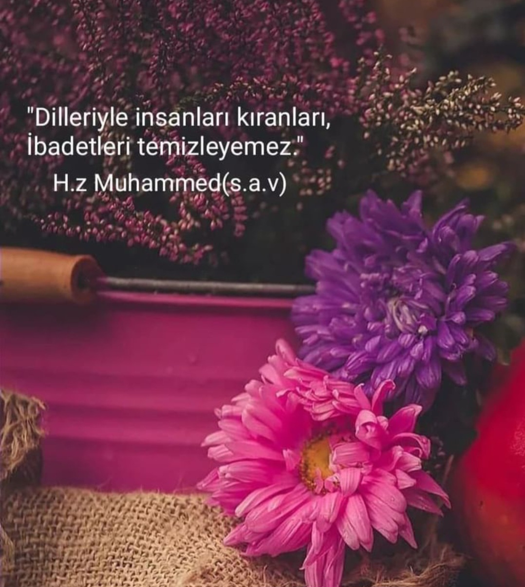 T C Yıldız