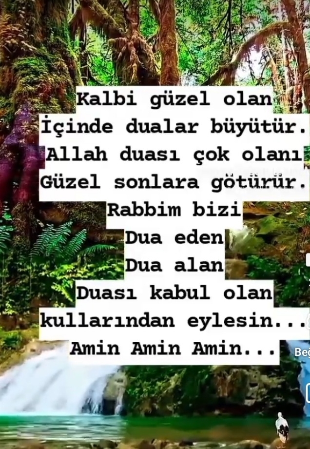 FİLİZ