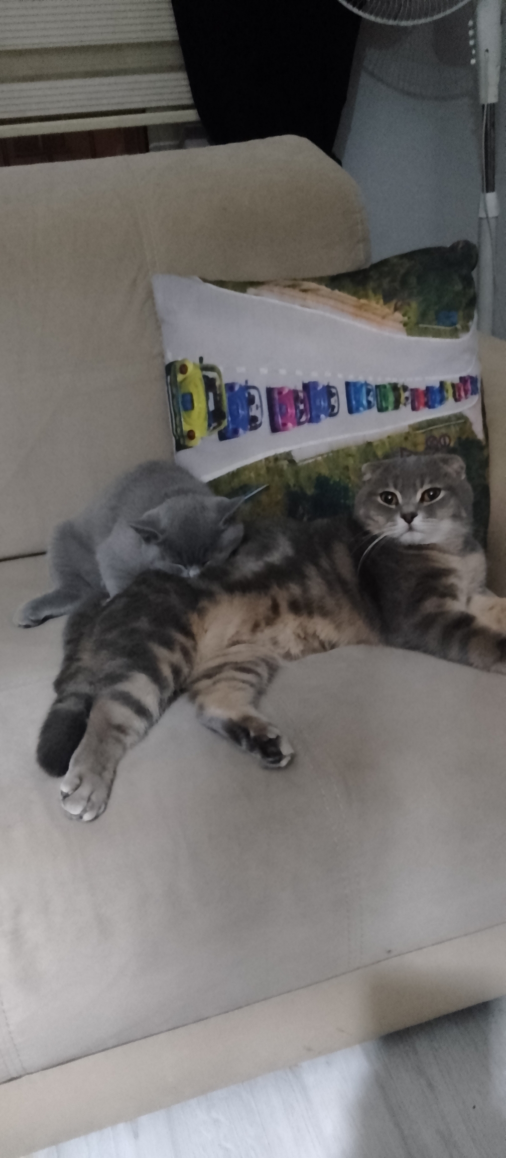 Mustafa