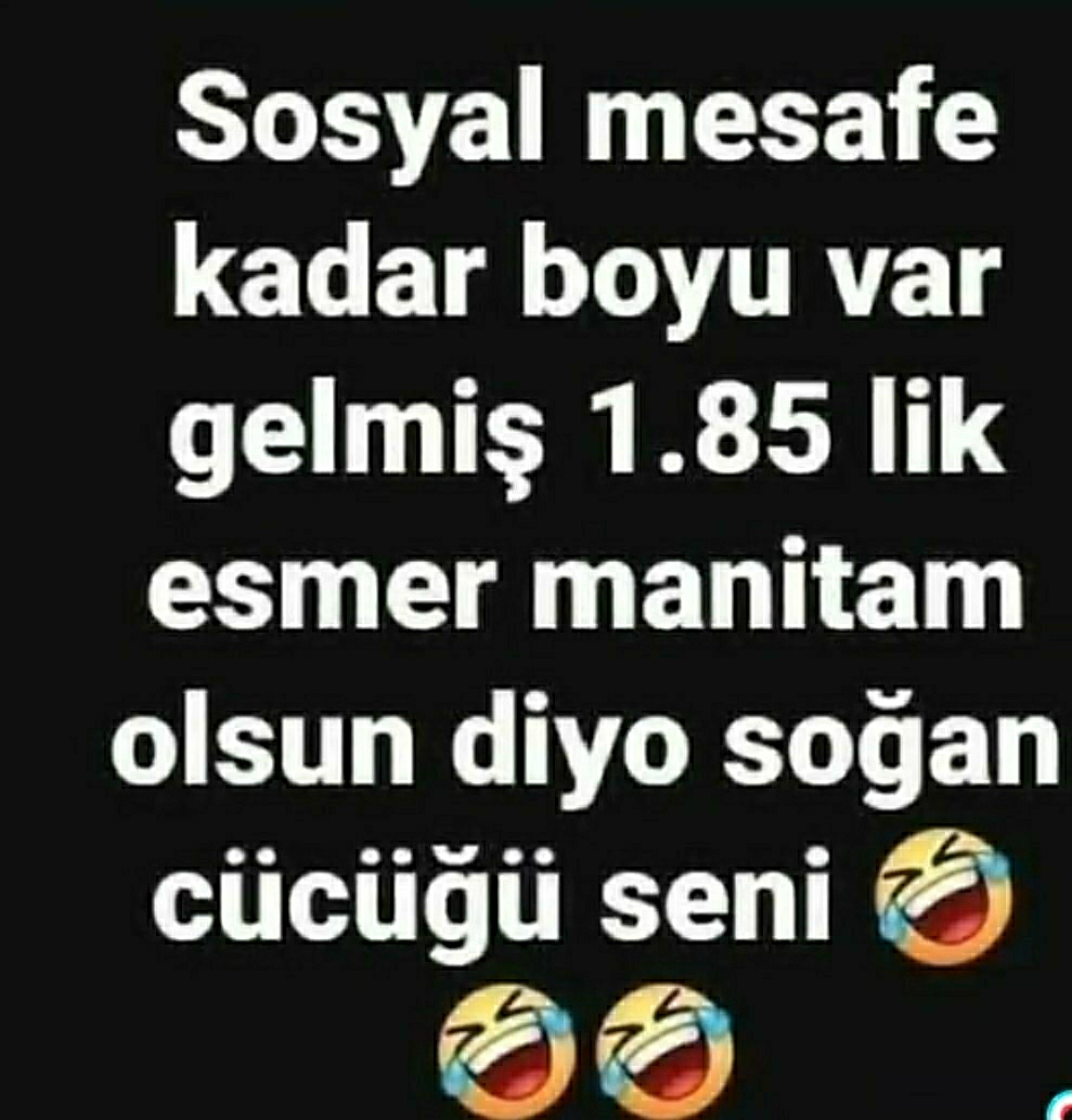 Aynur