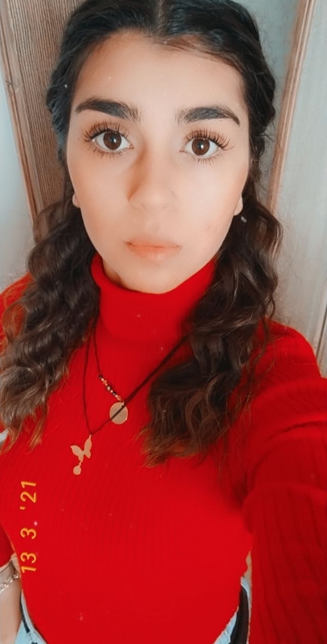 İlke