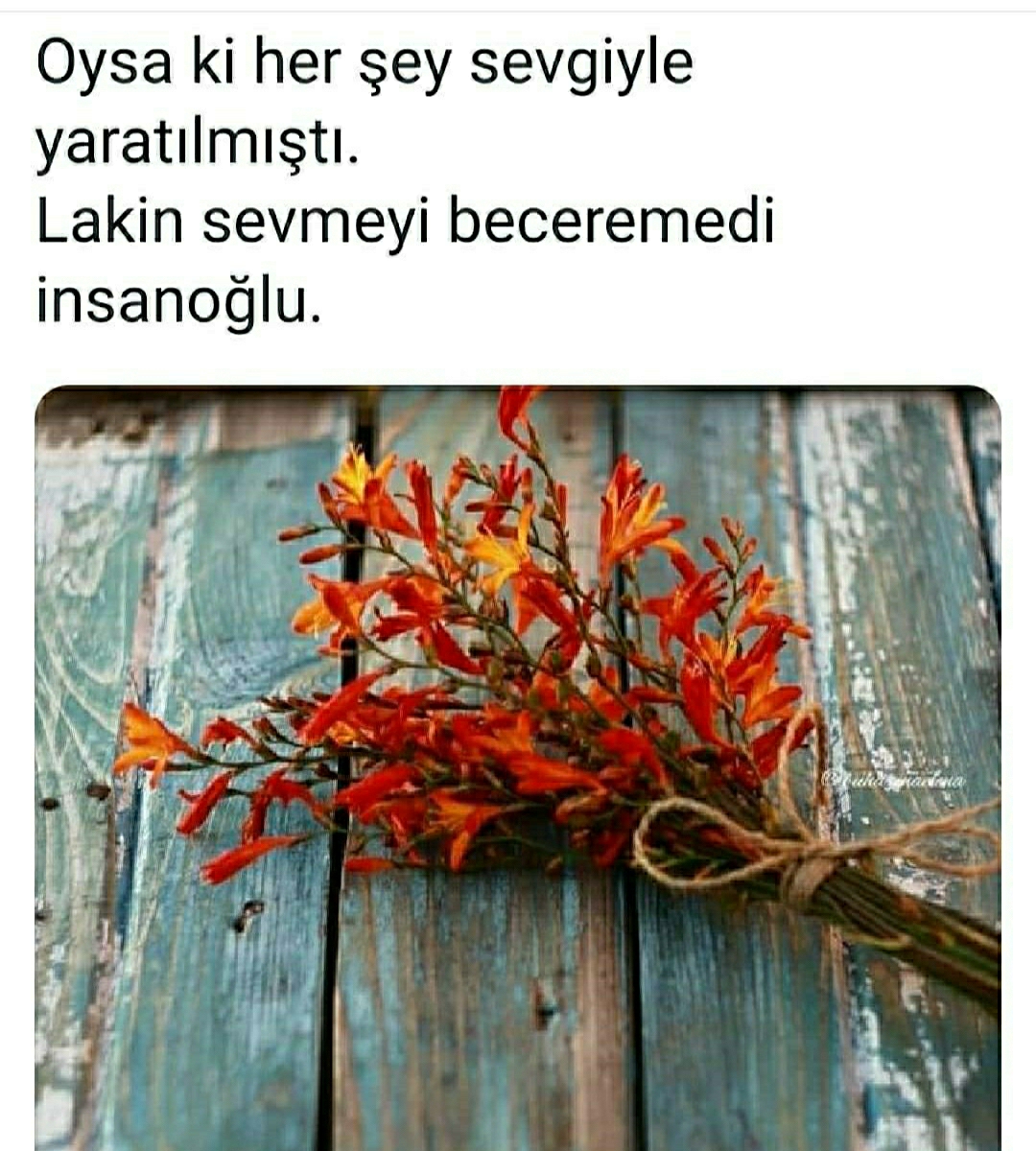 Serap