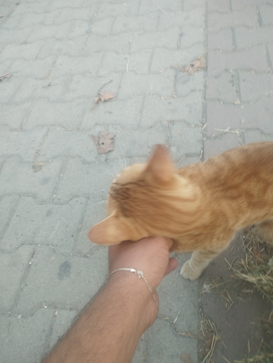 Gökhan
