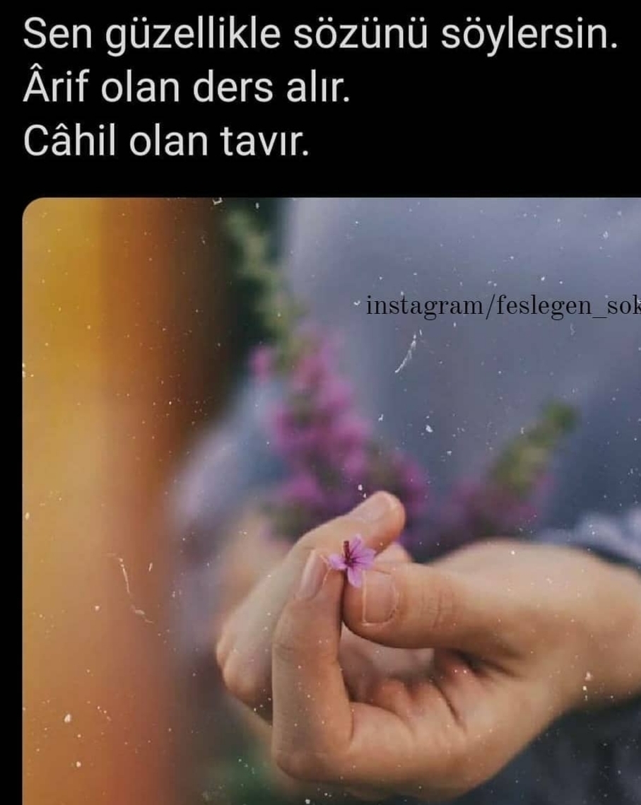 Figen