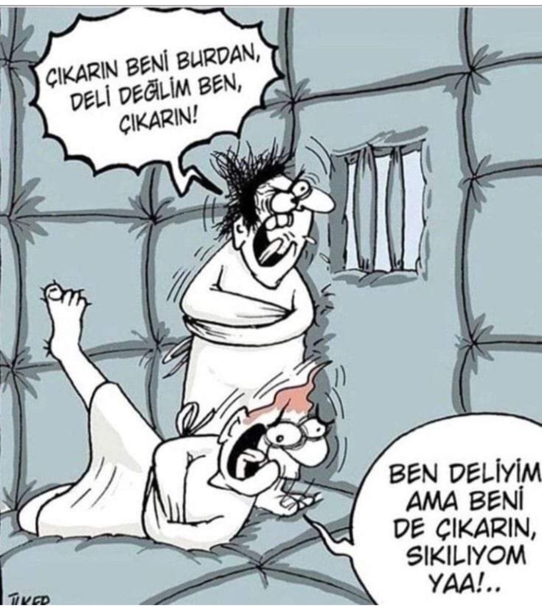 T C Yıldız