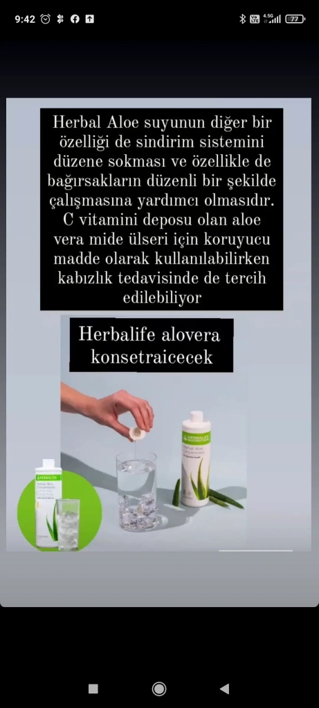 Melek