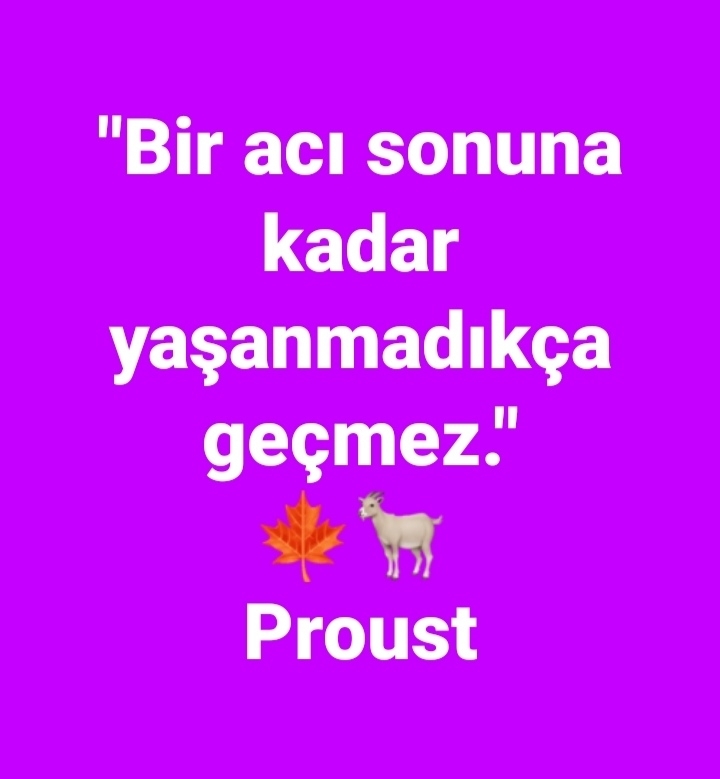 Yavuz