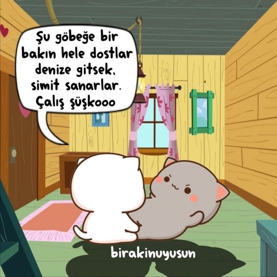 Erol