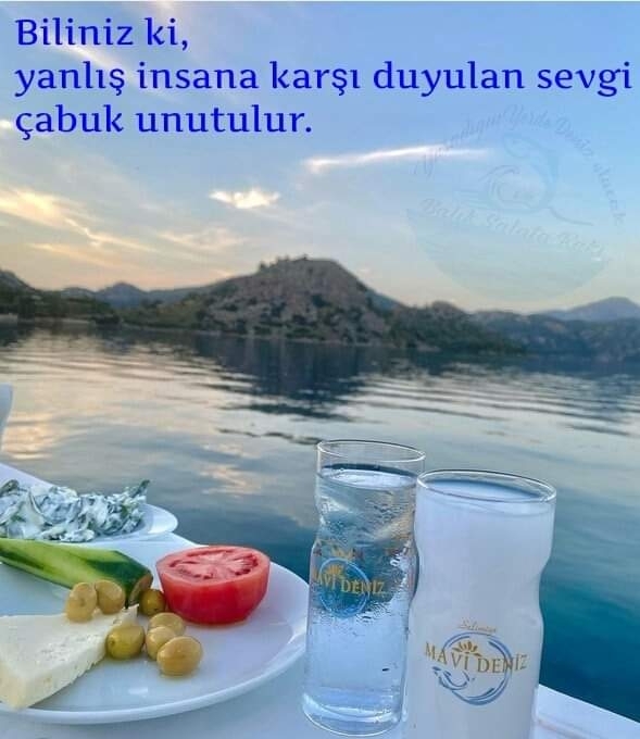Ulvi