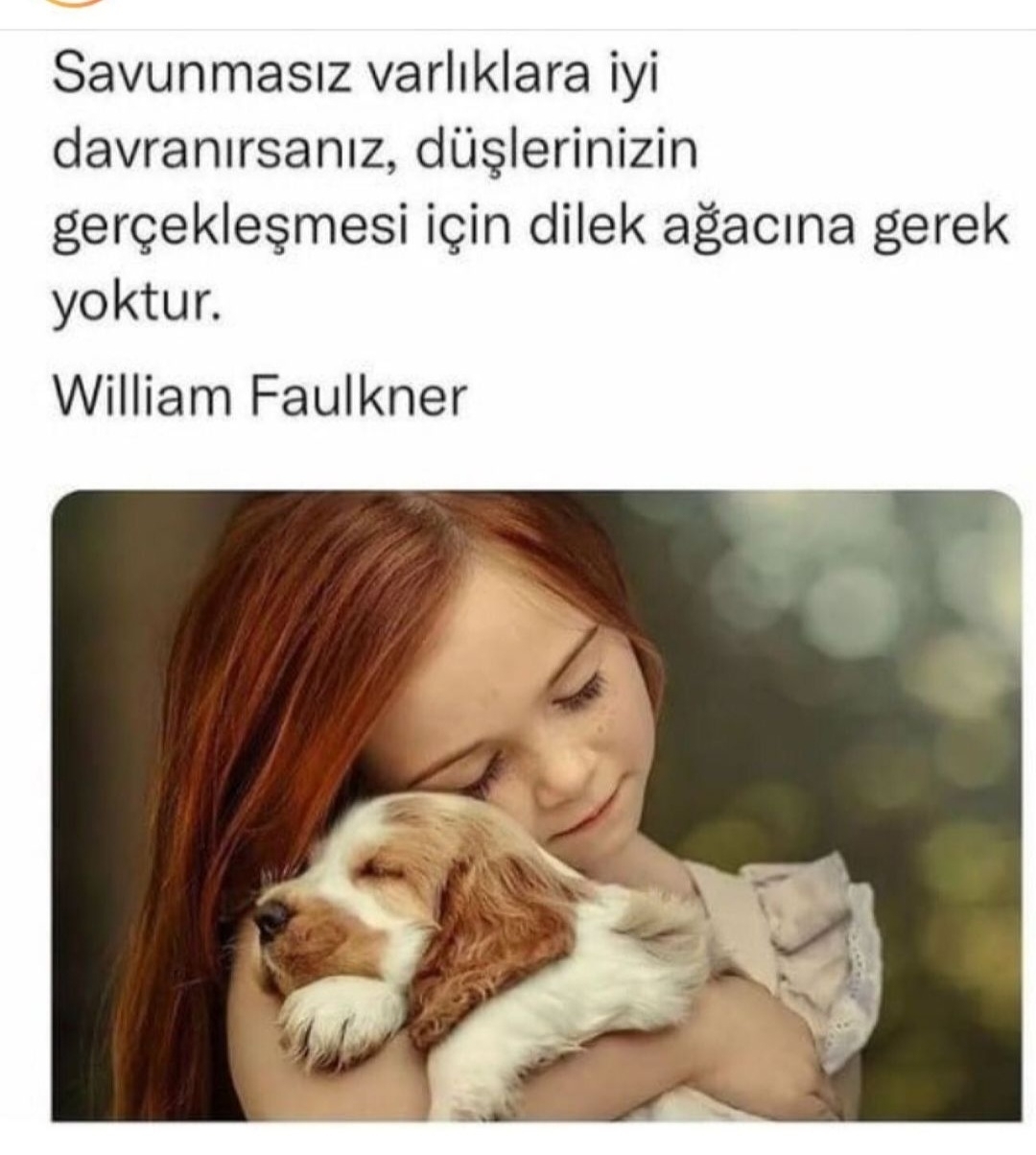 T C Yıldız