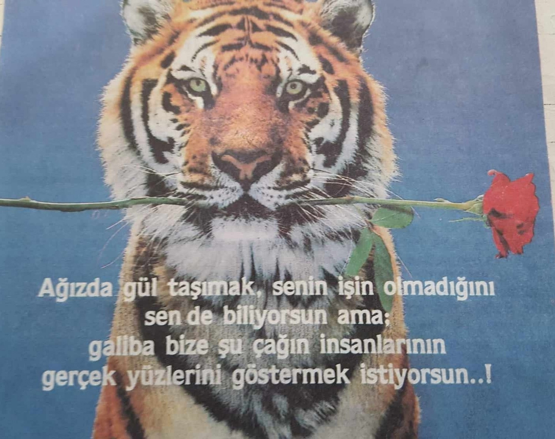 Davut