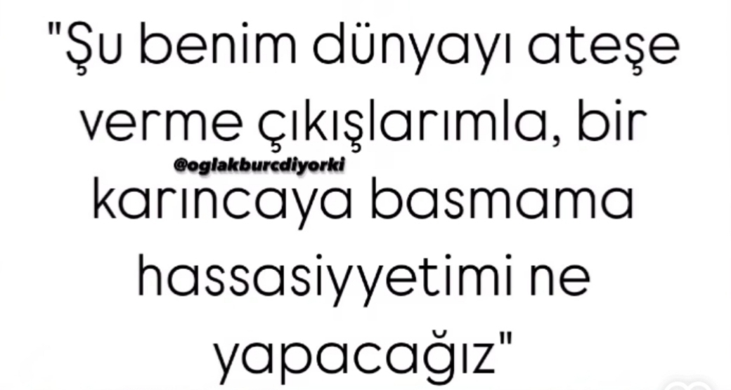 İrem