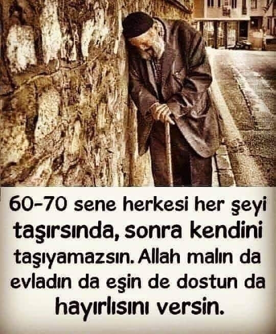 Doğan