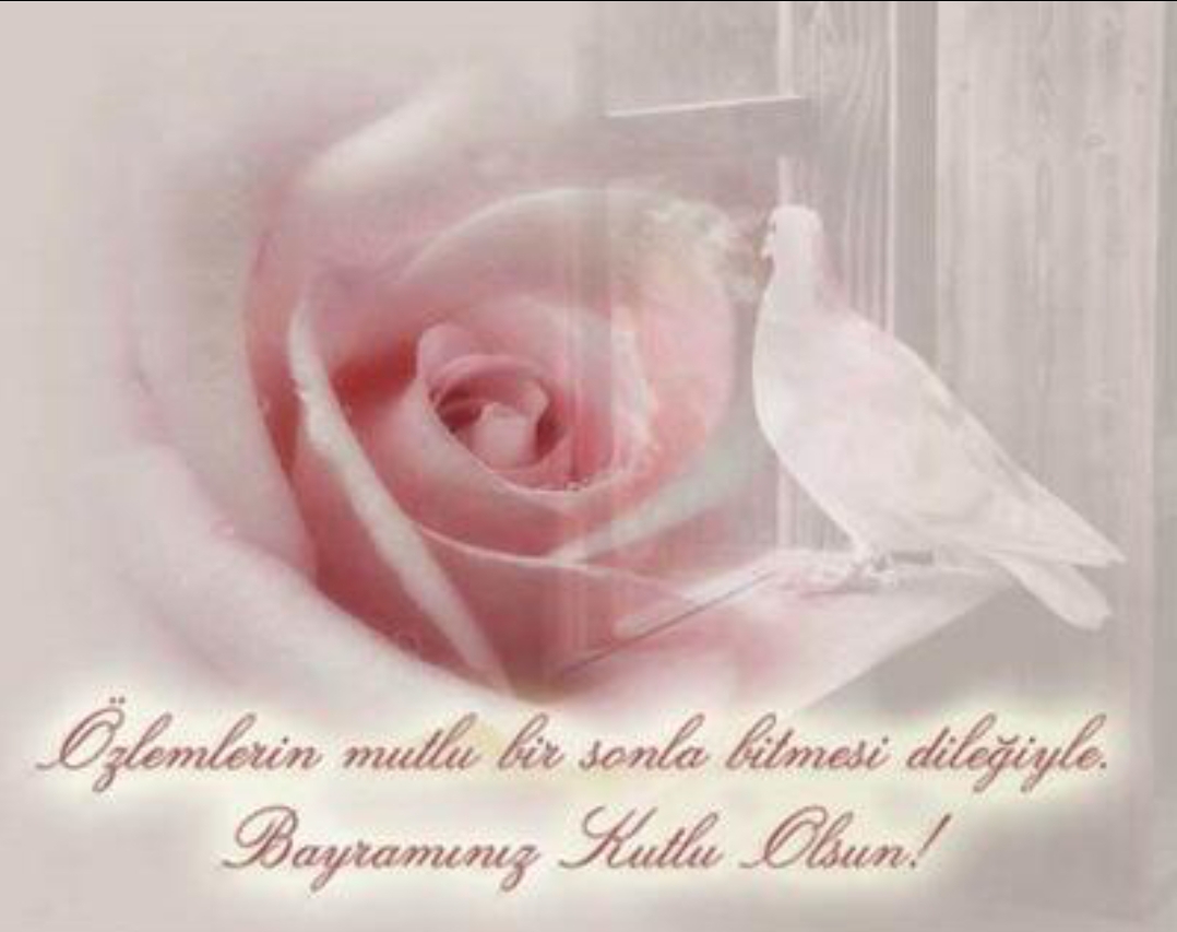 Nur