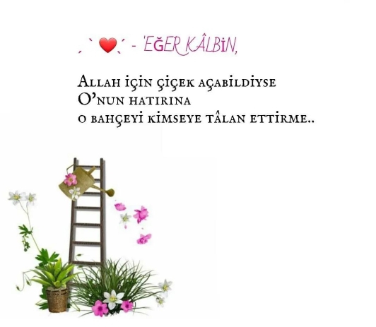 Ayşe