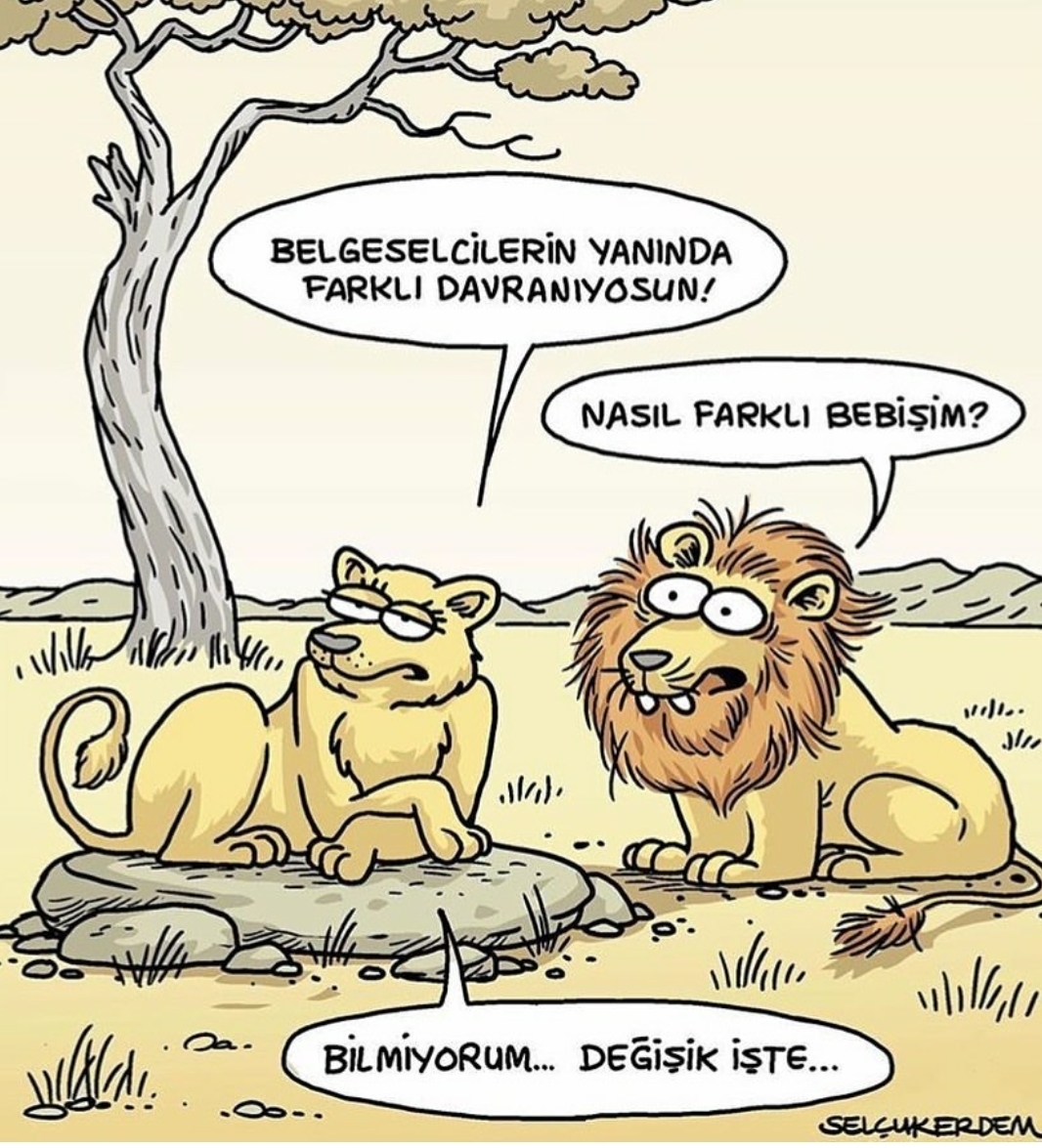 Serdar