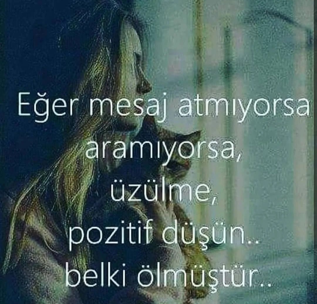 Aynur