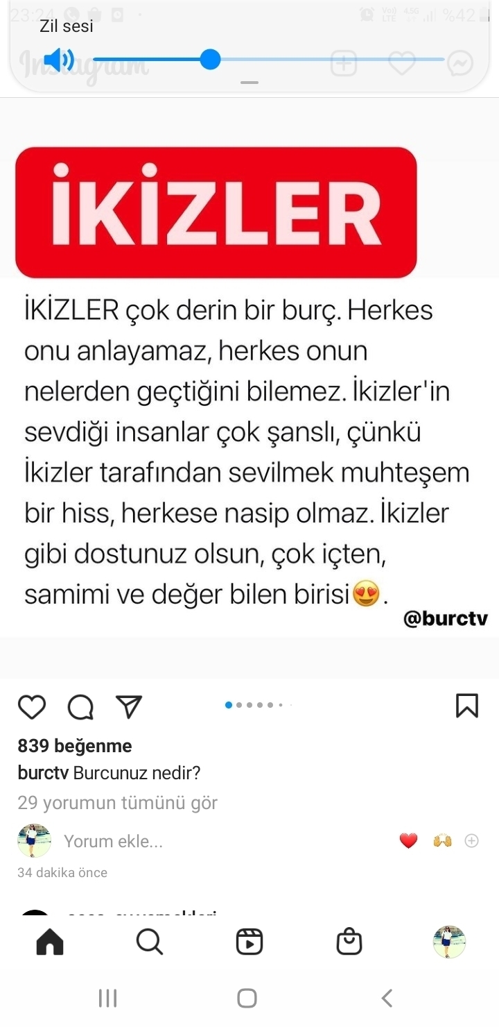 Melek