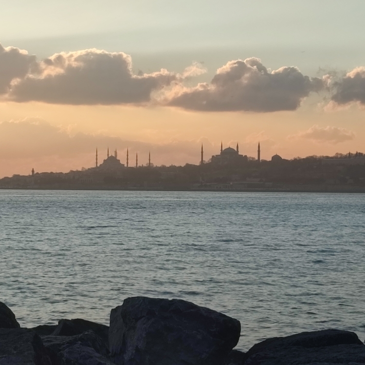 Mustafa
