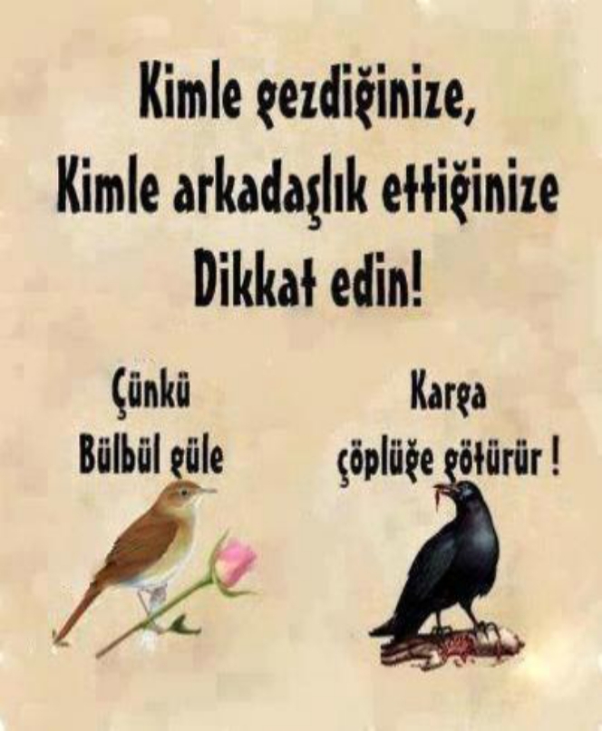 Gamze