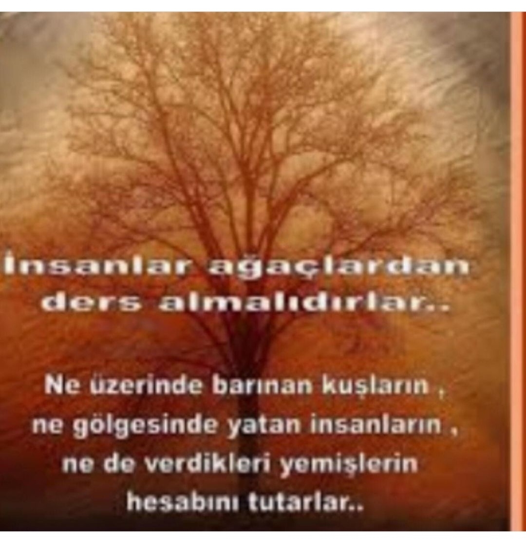 T C Yıldız