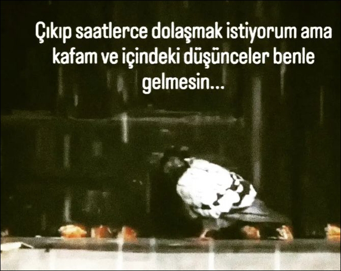 Harun