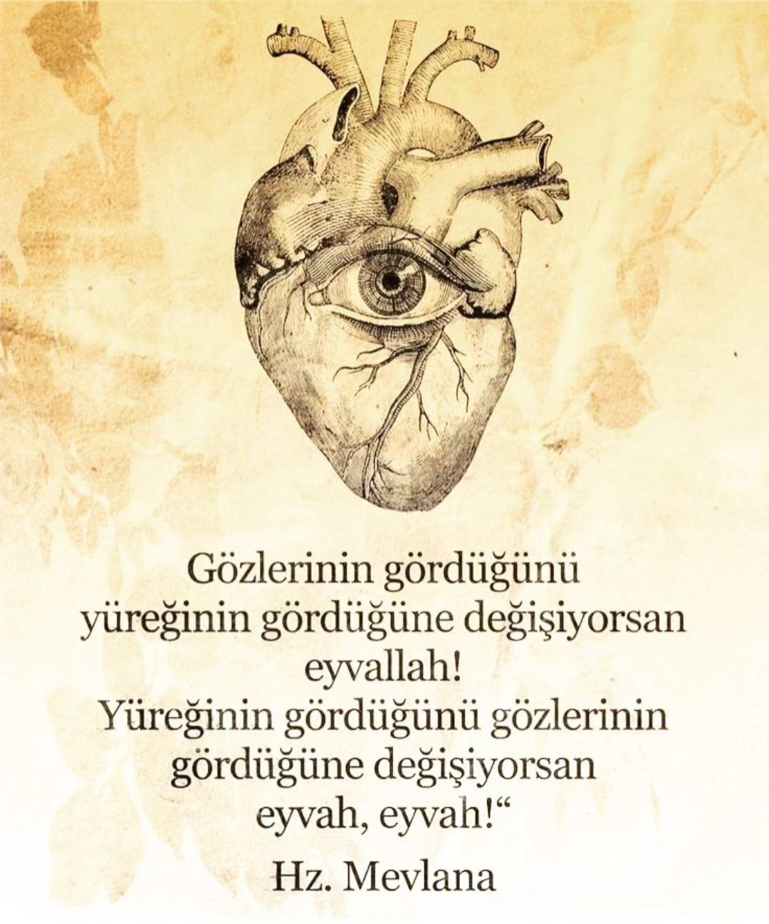 T C Yıldız