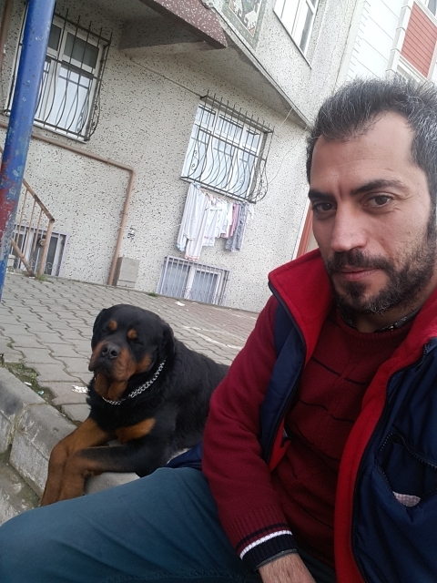 Serdar