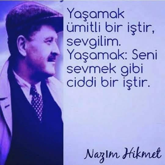 Doğan
