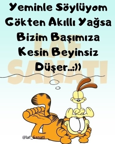 Serdar