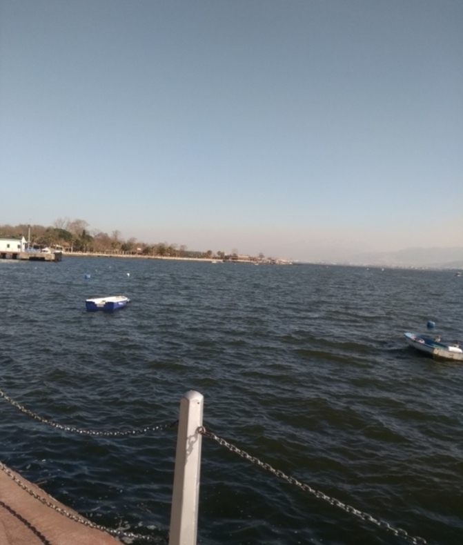 Gül