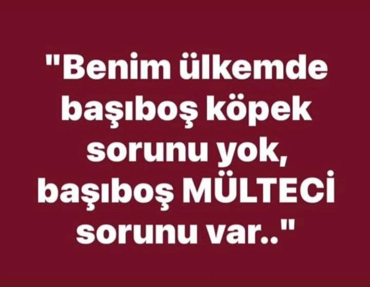 Kalabas