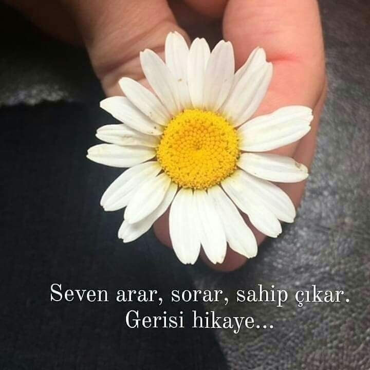 Güler