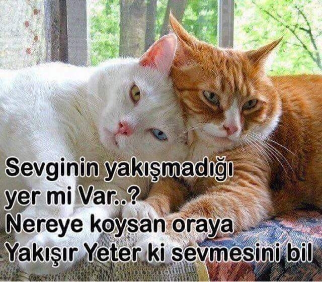 Aslı