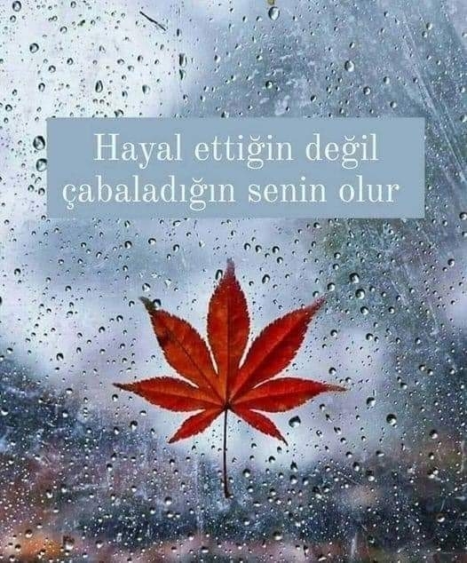 Şule