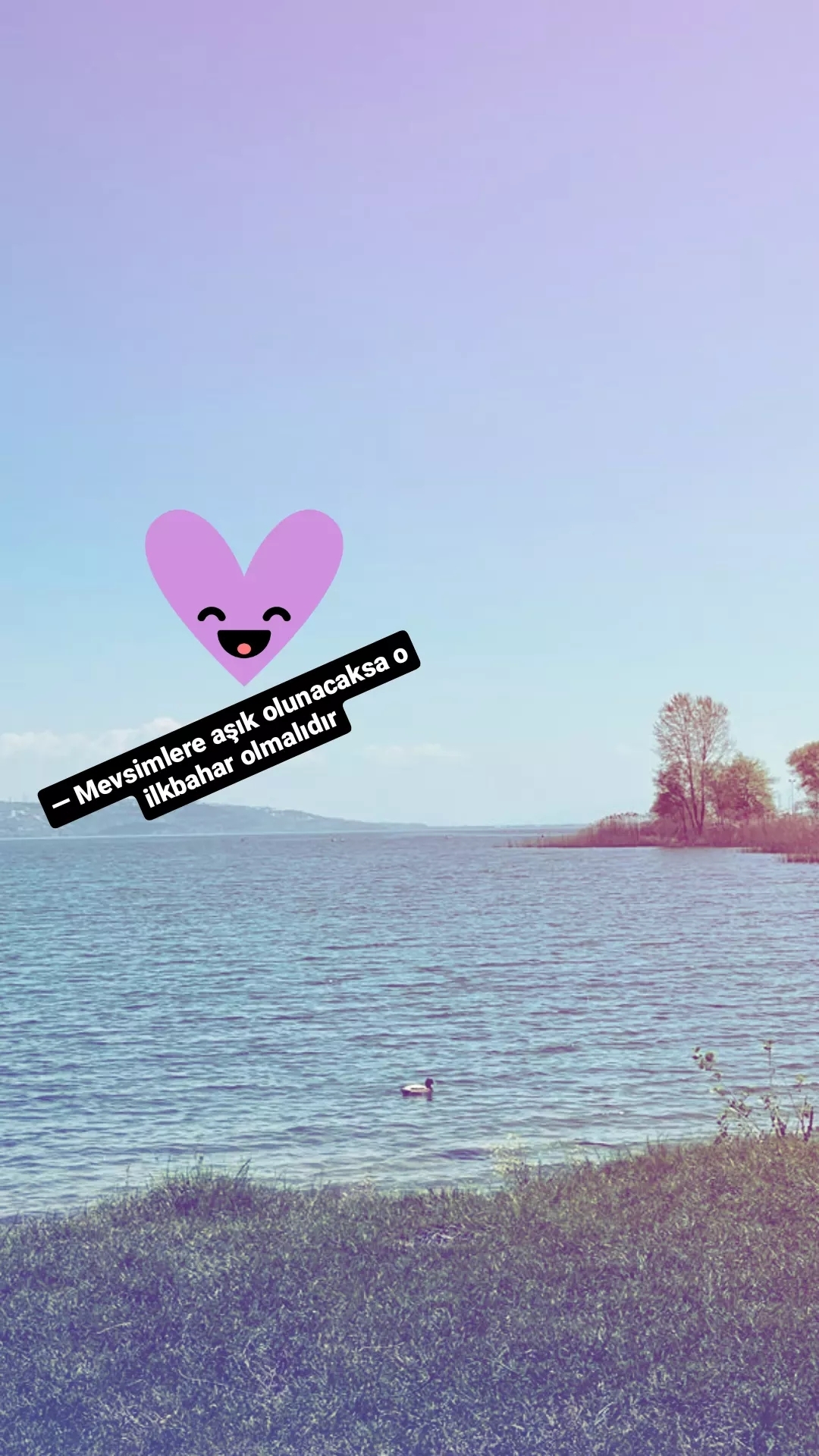 Zeynep