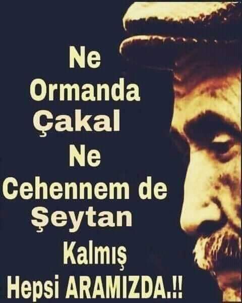Mahmut