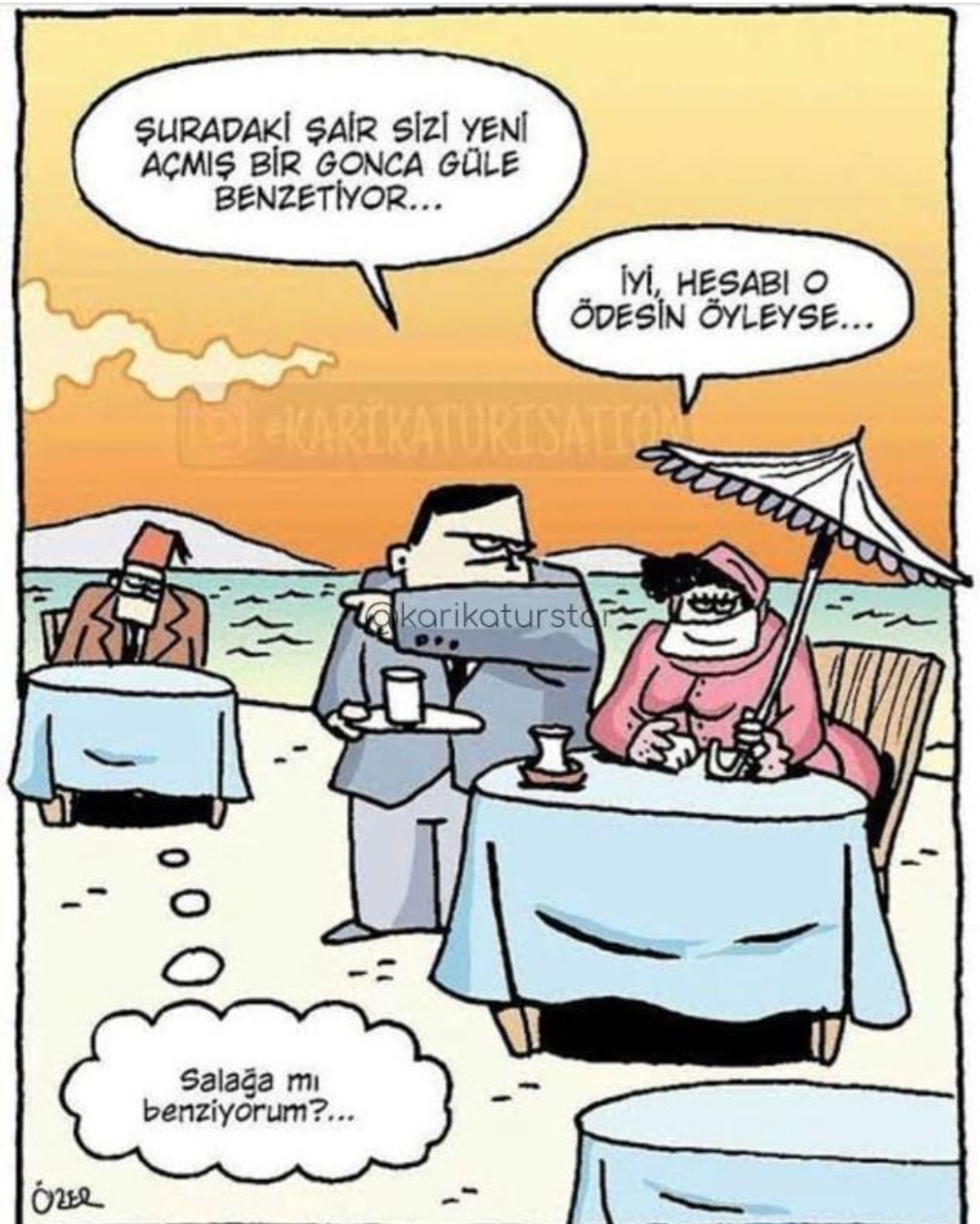 T C Yıldız