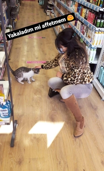 Ayse