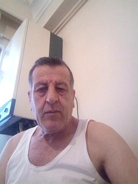Tatar