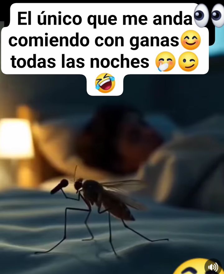 Ana