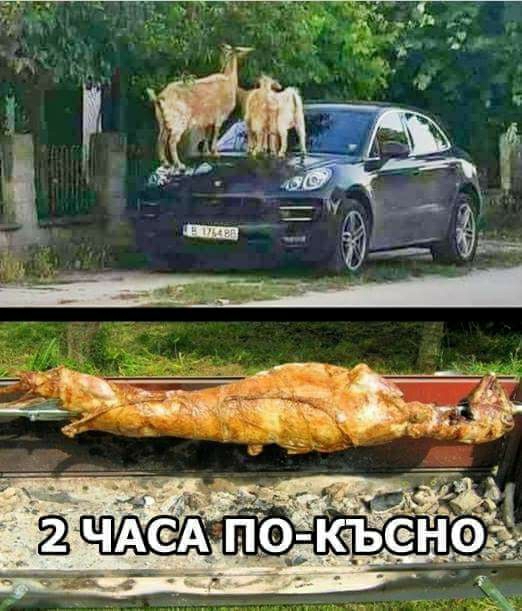 Hava