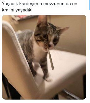 Rüzgar