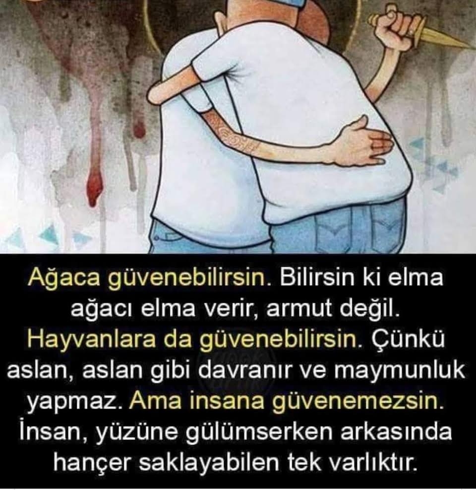 Sevil